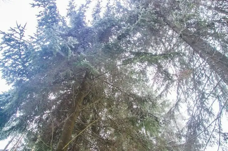 Какой сегодня праздник: 8 ноября 2025 года