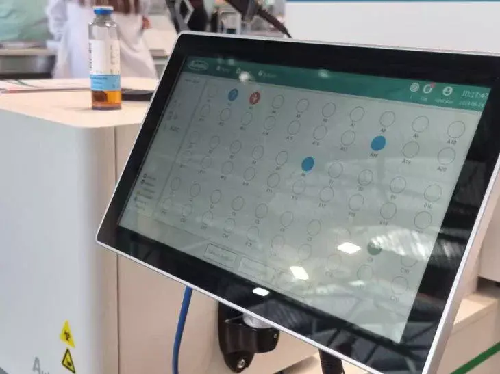 Какой секрет хранят под землёй 17 лет? Насекомое, которое обмануло время