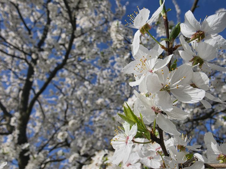 Контрасты и рекорды. Какой была погода в Беларуси в апреле
