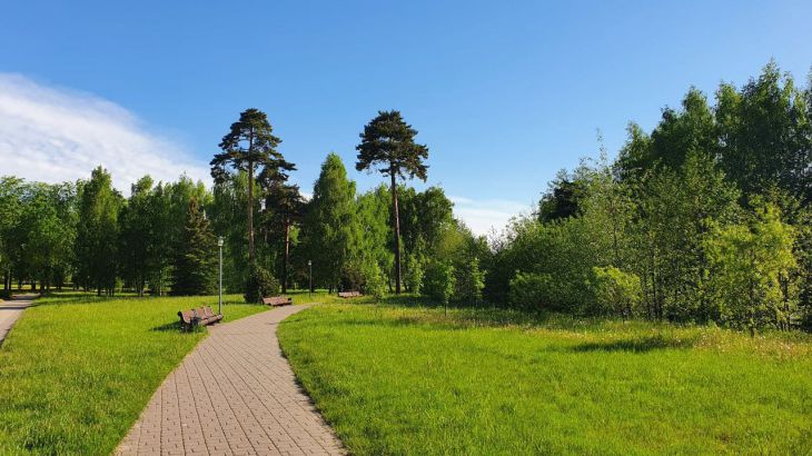 Лето будет засушливым? Погодные приметы на 5 мая 2025 года