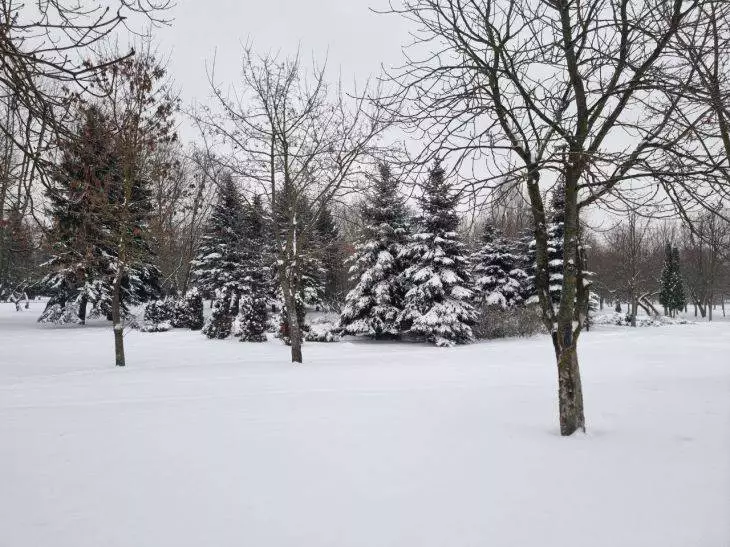 Лето будет жарким? Обратите внимание на эту примету 17 февраля 2025 года