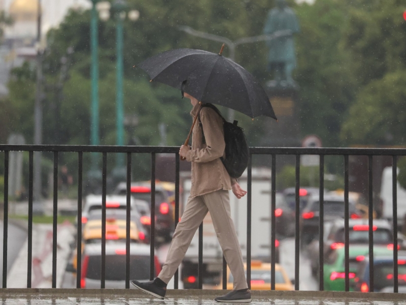 Лето вновь откладывается? Какая погода ожидается в июле в Москве