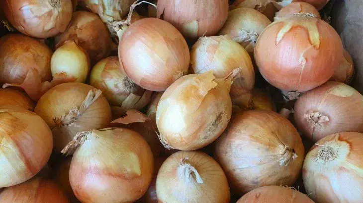 Лук гниет в погребе? Секрет долгого хранения раскрыли практичные дачники