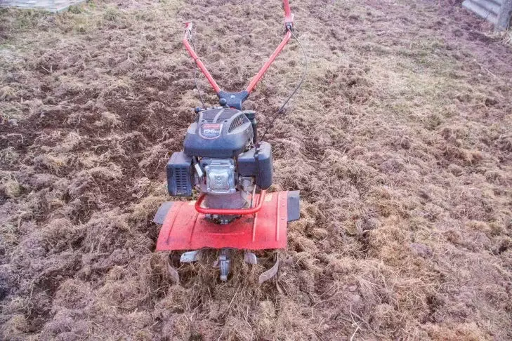 Лунный календарь садовода: миф или реальный инструмент для повышения урожайности