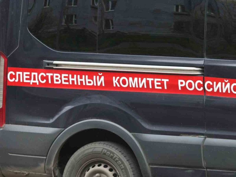 Мать расчлененного в Балашихе ребенка призналась в убийстве: вот что произошло на самом деле