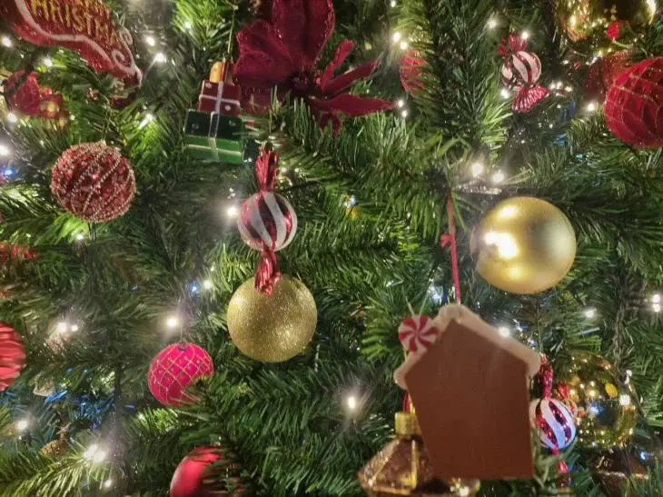 Мошенники вышли на охоту на тех, кто готовится к новогодним праздникам: как жительница Малоритского района осталась без елки и без денег