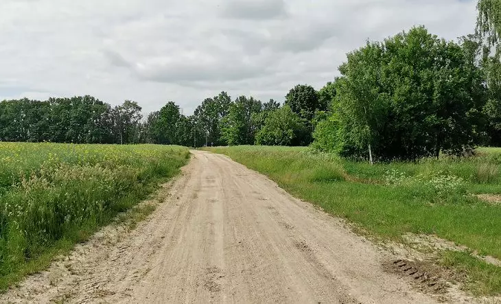 Народные приметы на 24 мая 2025 года: в каком случае стоит ждать похолодания