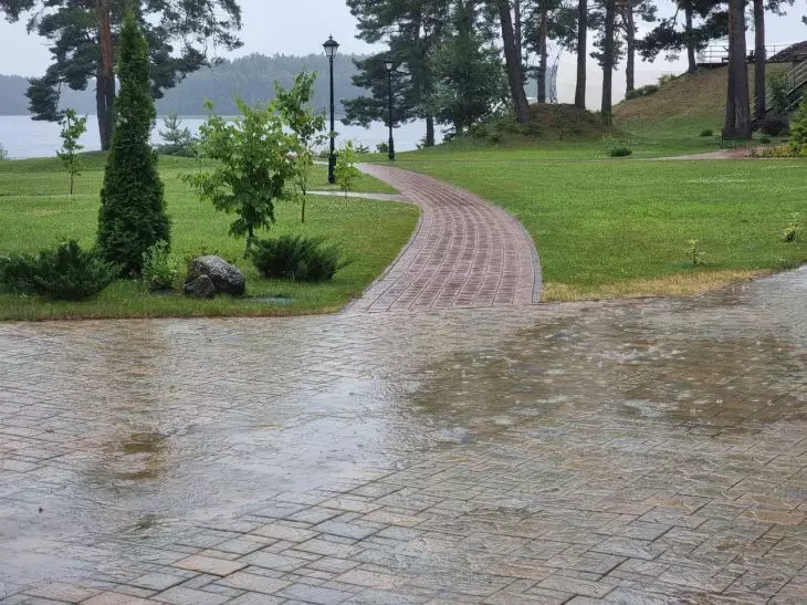 Погодные приметы на 17 мая 2025 года: что предупреждает о дождях