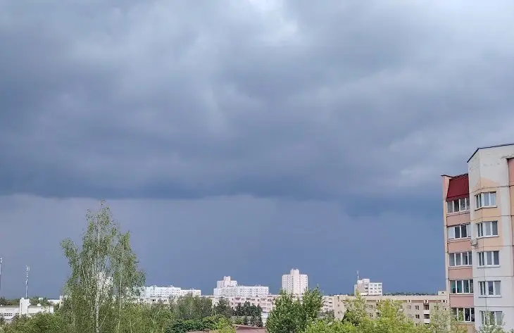 Повреждения ЛЭП, пожары, падения деревьев. МЧС предупредило белорусов о факторах опасности 10 сентября