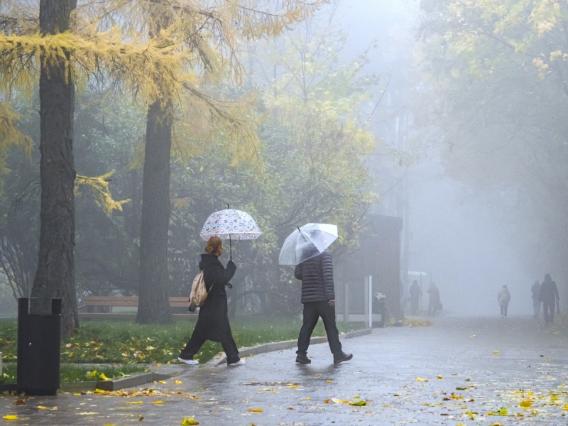 Радиационные туманы накрыли север Подмосковья