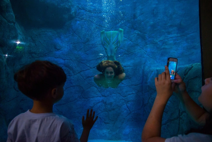 Российские пловчихи-русалки попали в рабство в Китае