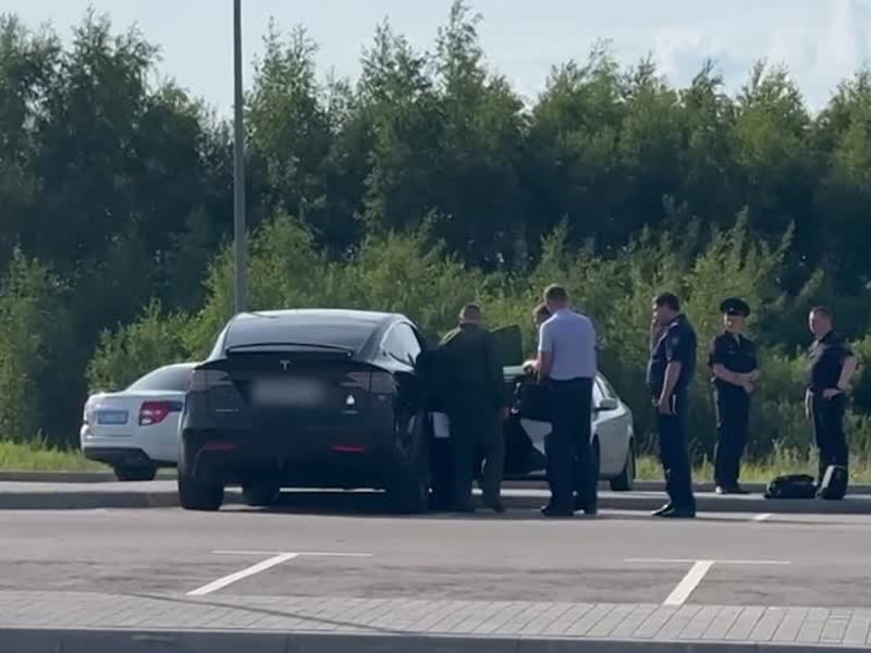 СМИ: экс-министр Старовойт купил электромобиль Tesla за полтора месяца до смерти и хотел продать дом за 260 млн