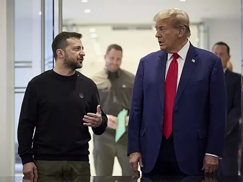 СМИ: Зеленский выбрался из «немилости» Трампа, получив флеш-рояль