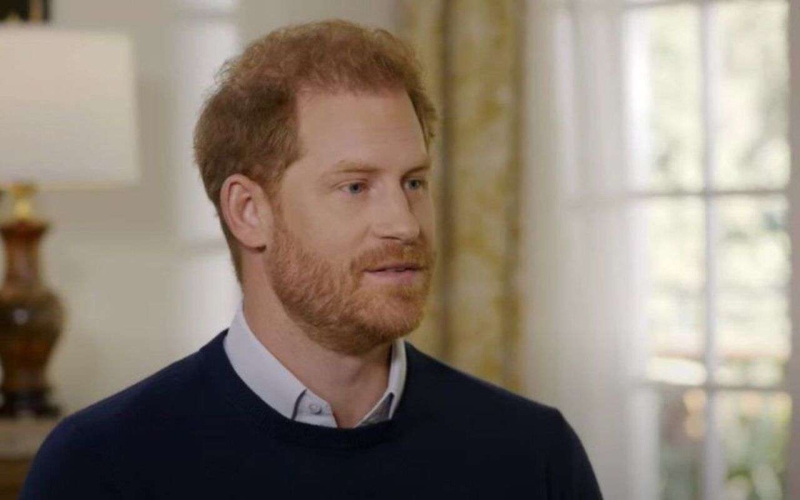 Стало известно, почему принц Гарри не может «брать на себя ответственность»