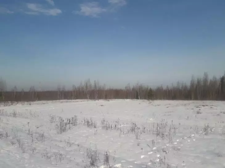 Теплая или холодная будет весна? Обратите внимание на эту примету 6 февраля 2025 года