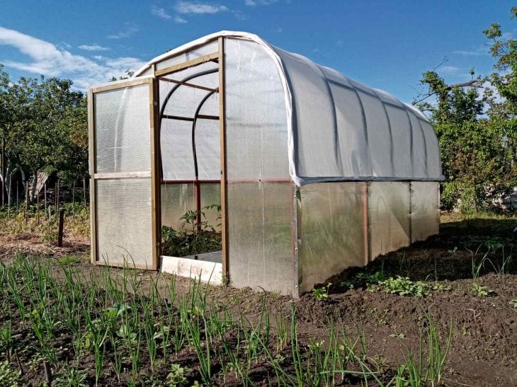 Теплица за копейки: как построить её из подручных материалов