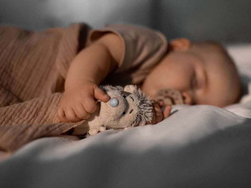 «У бабушки произошел какой-то щелчок в голове»: стало известно, как 11-месячная девочка оказалась одна на трассе ночью в Подмосковье