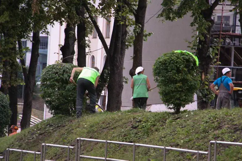 В Беларуси запланирован единый день озеленения: уже скоро – названа дата