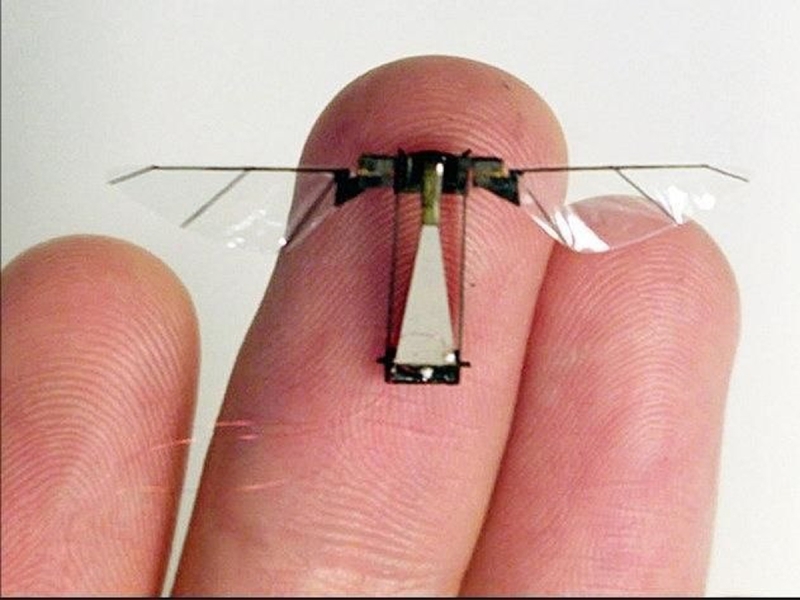 В Китае показали разведывательный БПЛА размером с комара