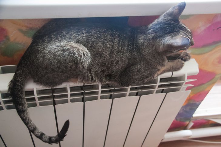 В Минской области включат отопление. Но не везде