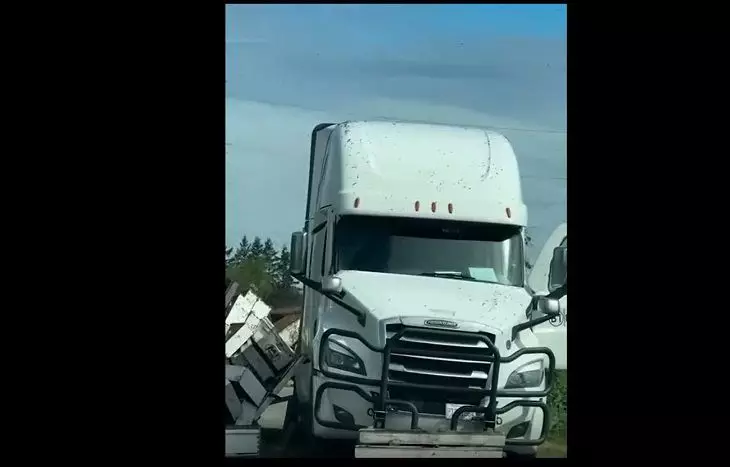 В США перевернулся грузовик: из него вылетели 250 млн пчел
