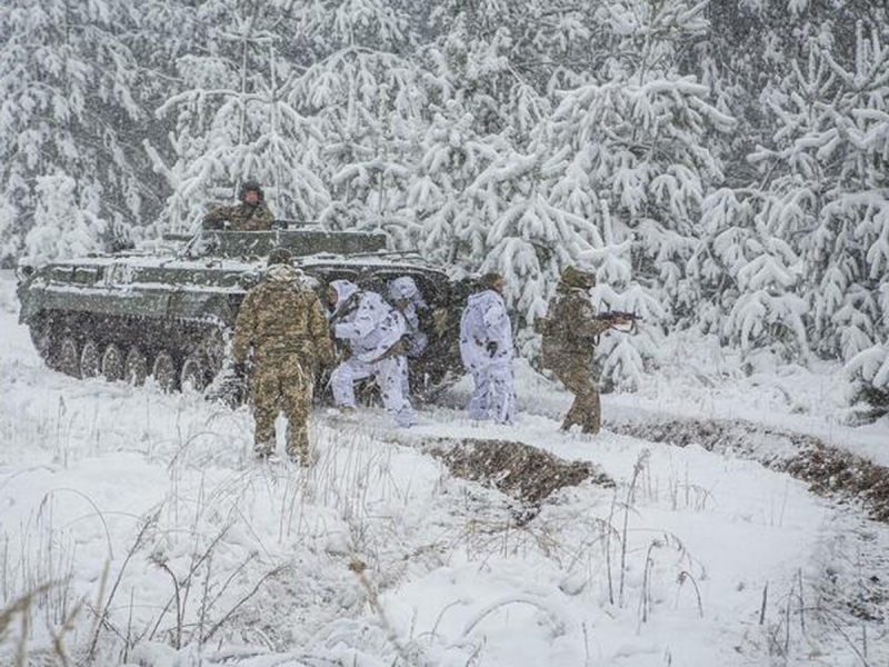 ВСУ накапливают войска у границы РФ: готовится прорыв в Курской и Брянской областях