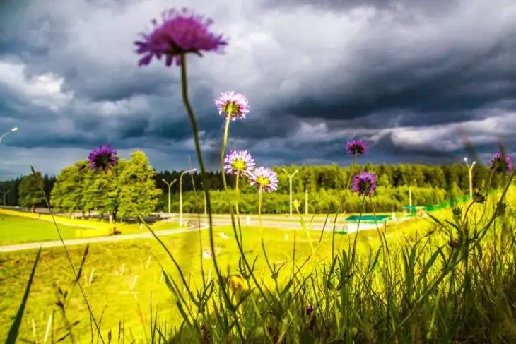 Жара до 35 градусов, ливни, град и не только. Оранжевый уровень опасности объявлен в Беларуси на 7 июля 2025 года