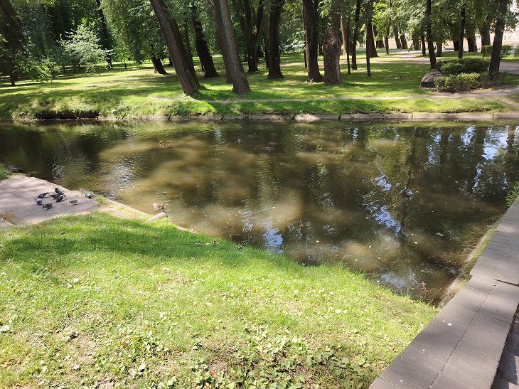 Жара до конца лета? Погодные приметы на 19 июля 2025 года