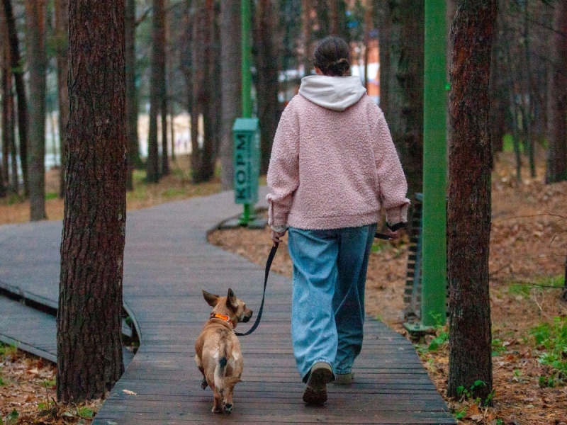 Золотая осень приходит с большим опозданием: погода в Москве с 15 по 21 сентября