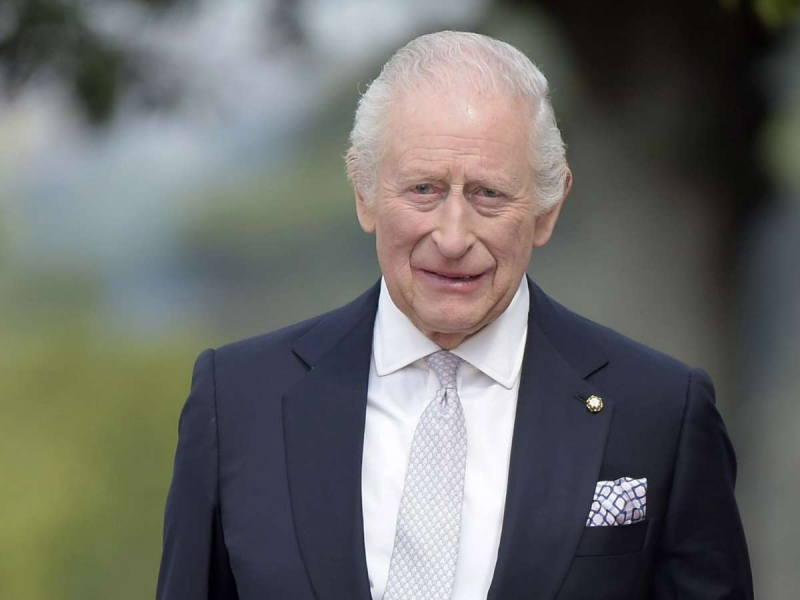 «Зрелая фигуристая мамочка, 200 фунтов в час»: банда проституток оккупировала резиденцию Карла III